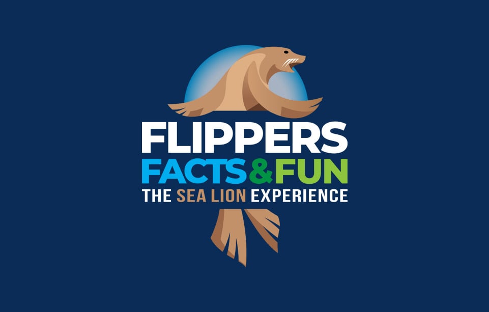 Image of All-New! Flippers, Facts & Fun
