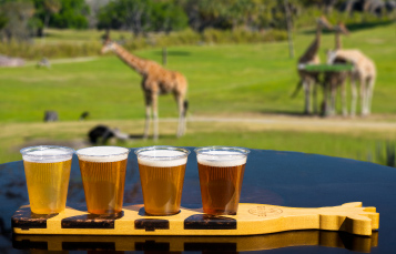 Image of Giraffe Bar