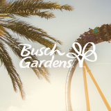 Busch Gardens logo with a palm tree and roller coaster in background