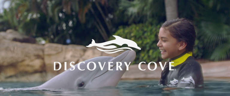 Discovery Cove logo and a girl swims with a dolphin in background