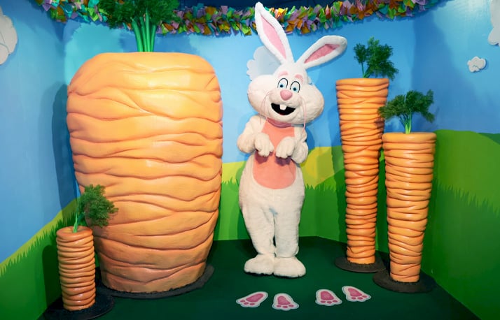 Easter bunny picture.