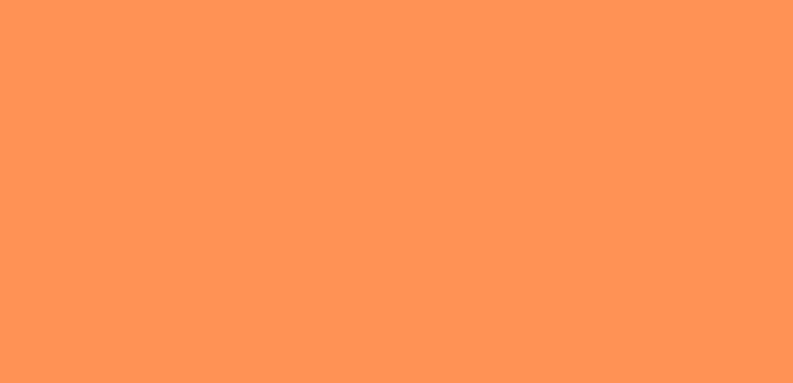 Blippi Banner Orange.