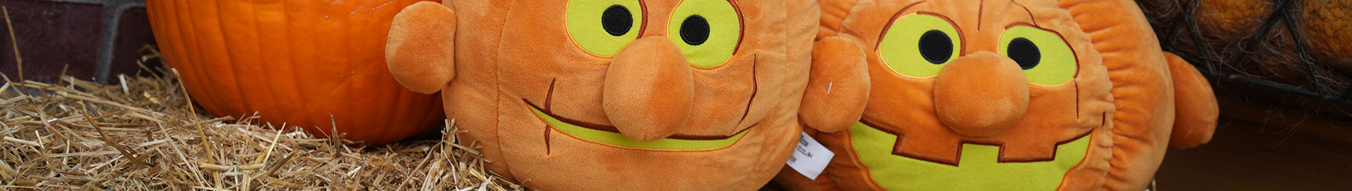 Halloween Merchandise