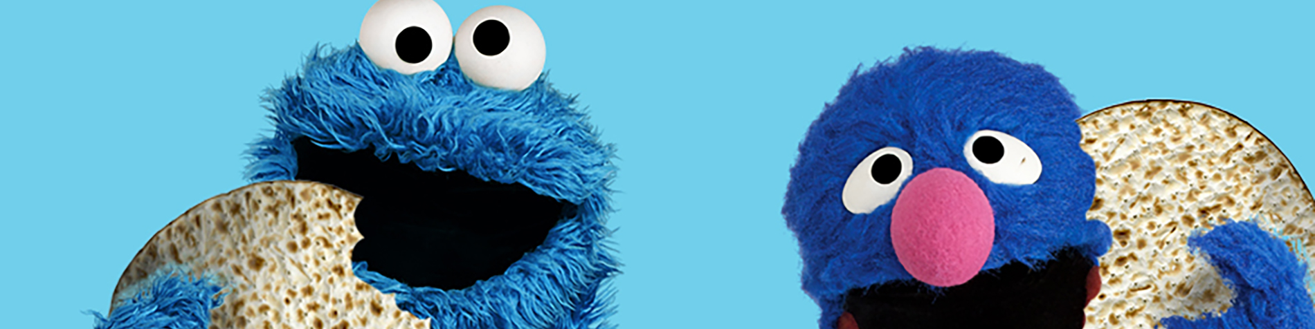 Cookie Monster and Grover