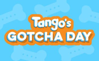 Tango's Gotcha Day