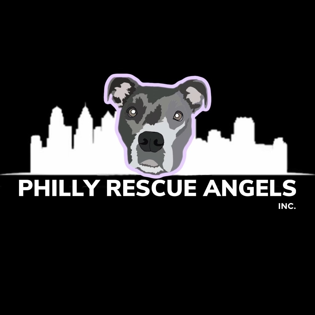 Adoption Day