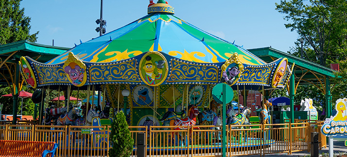 carousel image