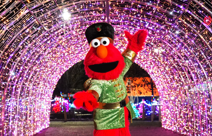 Elmo in tunnel of Christmas lights