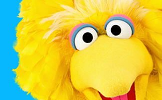 Big Bird