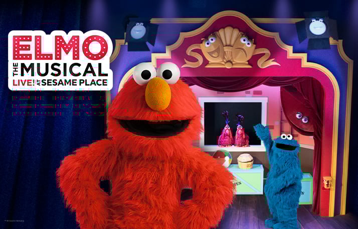 Mardi Gras Elmo the Musical