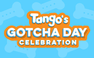 Tango's Gotcha Day