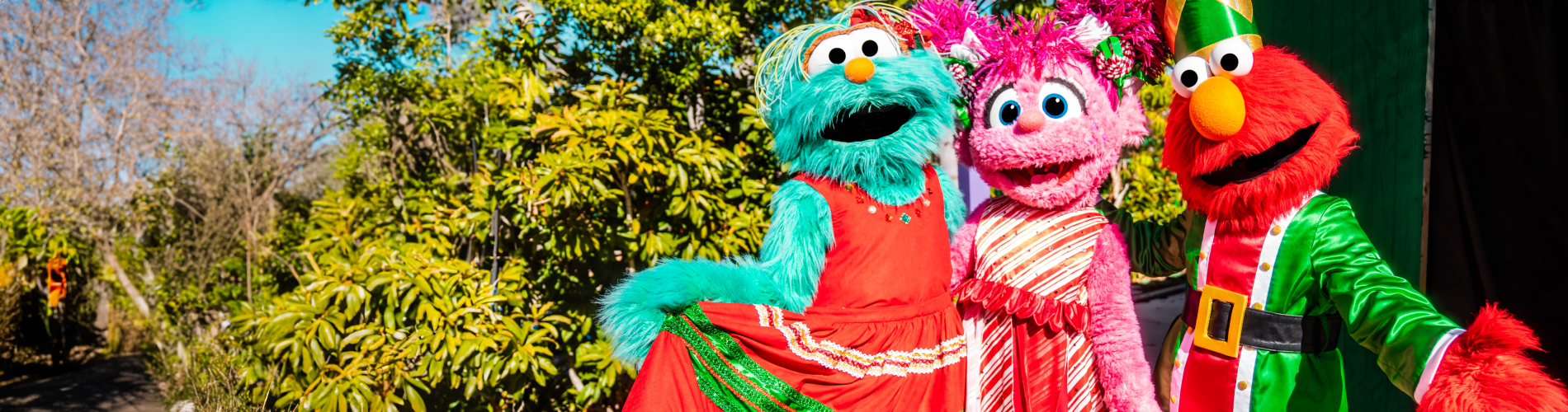 Christmas Dining SPC banner image.