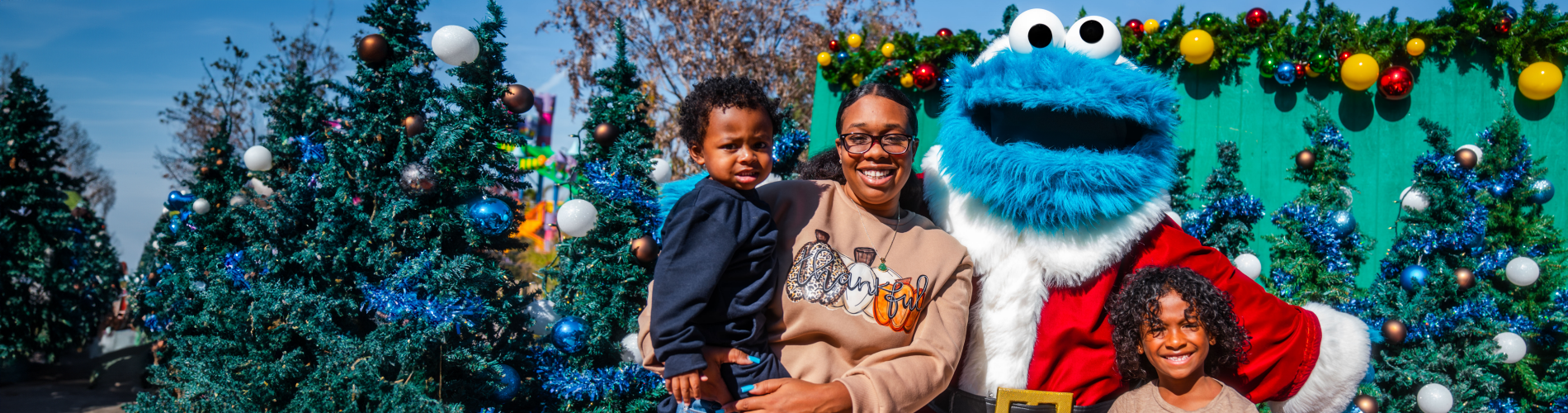 Christmas Experiences SPC banner image.