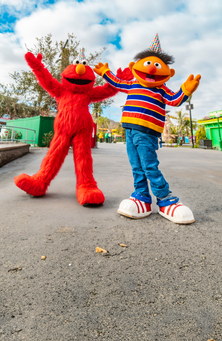 Elmo birthday celebration with ernie.