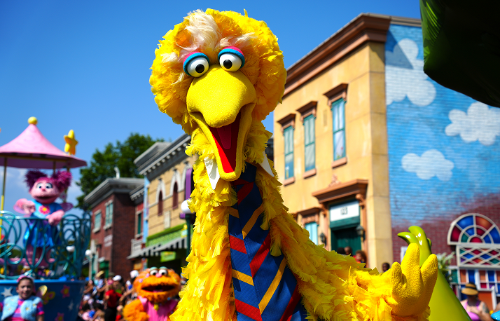 big bird parade.