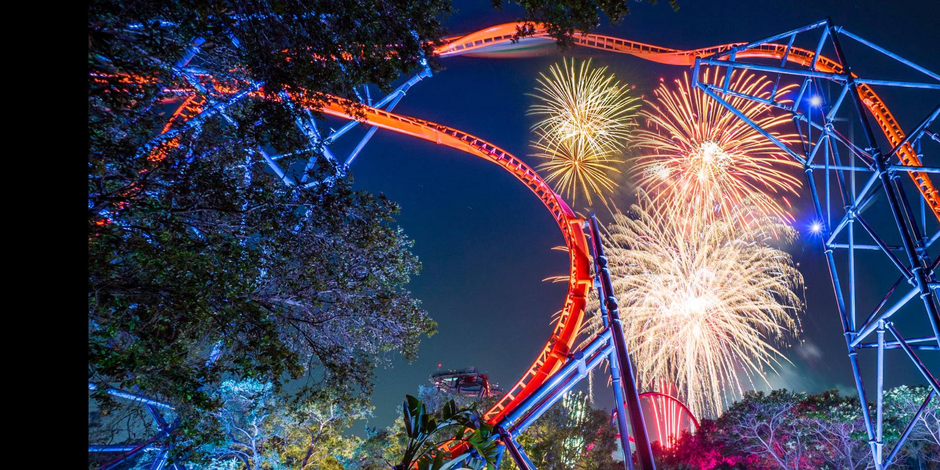 Summer Nights at Busch Gardens Tampa Bay. Play all day. Stay all night.