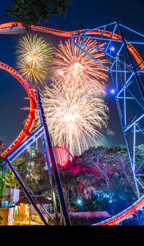 Summer Nights at Busch Gardens Tampa Bay. Play all day. Stay all night.