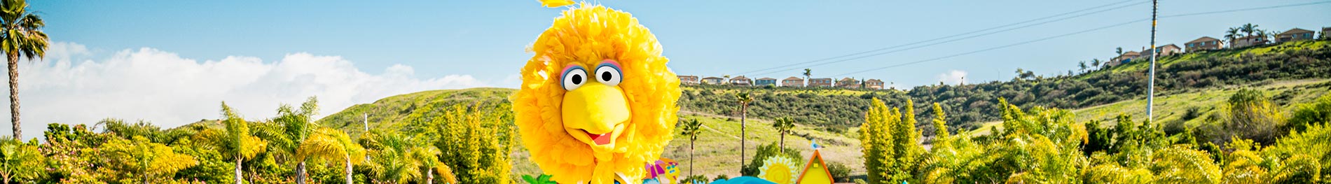 Big Bird at the beach.