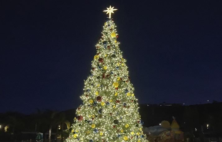 Christmas tree lighting ceremony
