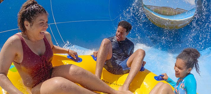 Cookies Monster Mixer at Sesame Place San Diego