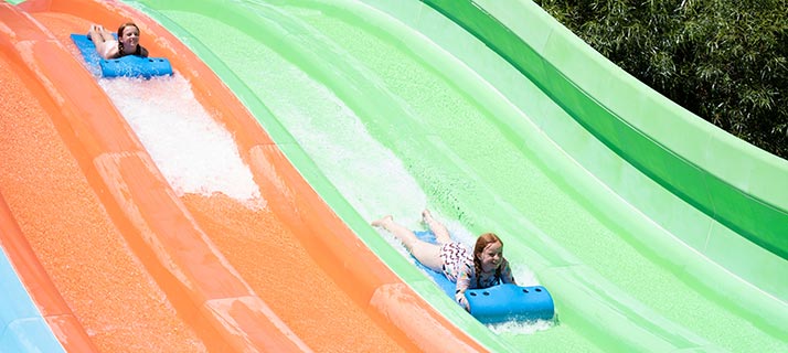 Honker Dinger Dash at Sesame Place San Diego
