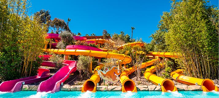 Snuffys Spaghetti Slides at Sesame Place San Diego