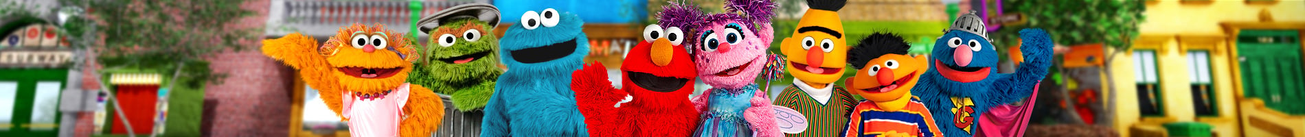 Sesame street friends